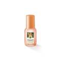 Les Plaisirs Nature eau de toilette perzik