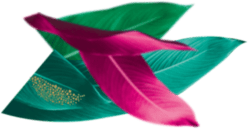 Feuilles au second plan côté gauche