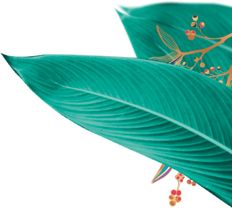 Feuilles au premier plan côté droit